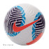 М'яч Nike WSL NK ACADEMY - FA23 (Клас А) FB2896-100-R