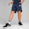 Шорти Puma ACTIVE SPORTS Poly Shorts B 679218-14