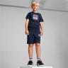 Шорти Puma ACTIVE SPORTS Poly Shorts B 679218-14