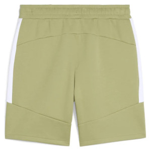 Шорти Puma teamEVOSTRIPE Shorts 659951-40