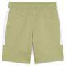 Шорти Puma teamEVOSTRIPE Shorts 659951-40