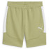 Шорти Puma teamEVOSTRIPE Shorts 659951-40