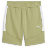 Шорти Puma teamEVOSTRIPE Shorts 659951-40