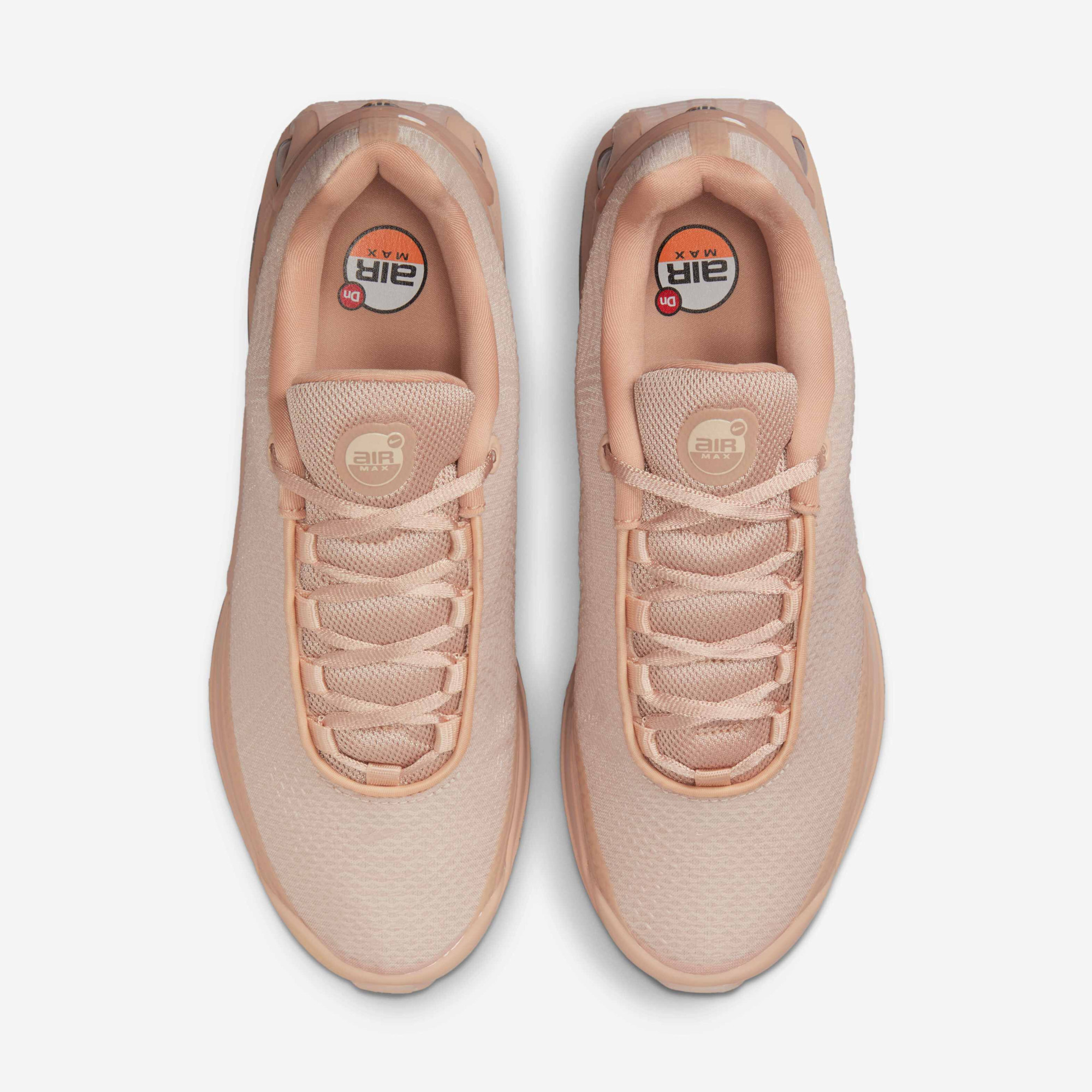 Кросівки Nike W Air Max DN ISA HQ3837-201