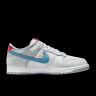 Кросівки унісекс Nike Dunk Low 2024 Grey HF0391-001