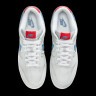 Кросівки унісекс Nike Dunk Low 2024 Grey HF0391-001