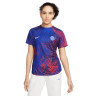 Футболка Nike Paris Saint-Germain Womens Pre-Match Jersey DN2931-418