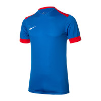 Футболка Nike Dry Park Derby II 894312-463