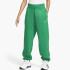 Кофта Nike Sportswear Phoenix Fleece Green DQ5887-365