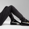 Штани Puma EVOSTRIPE CORE Pants 63153301