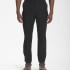 Штани THE NORTH FACE MENS PARAMOUNT ACTIVE PANTS NF0A7WZE4H0 Штани THE NORTH FACE MENS PARAMOUNT ACTIVE PANTS NF0A7WZE4H0