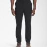 Штани THE NORTH FACE MENS PARAMOUNT ACTIVE PANTS NF0A7WZE4H0