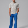 Футболка Jordan M JUMPMAN SS CREW IF5568-050