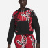 Толстовка AIR JORDAN JORDAN BLACK/RED DD9295-010