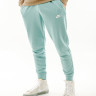 Штани Nike CLUB JGGR FT BV2679-309