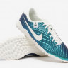 Сороконіжки Nike LEGEND 10 ACADEMY TF 30 FQ3245-300