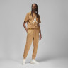 Штани чоловічі Air Jordan M J Ess Flc Pant Brown FJ7779-231