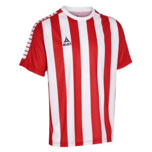 Футболка Select Argentina player shirt s/s striped 622600-031