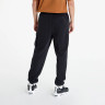 Штани мужские Air Jordan Jumpman Fleece Pant Black DM1400-010