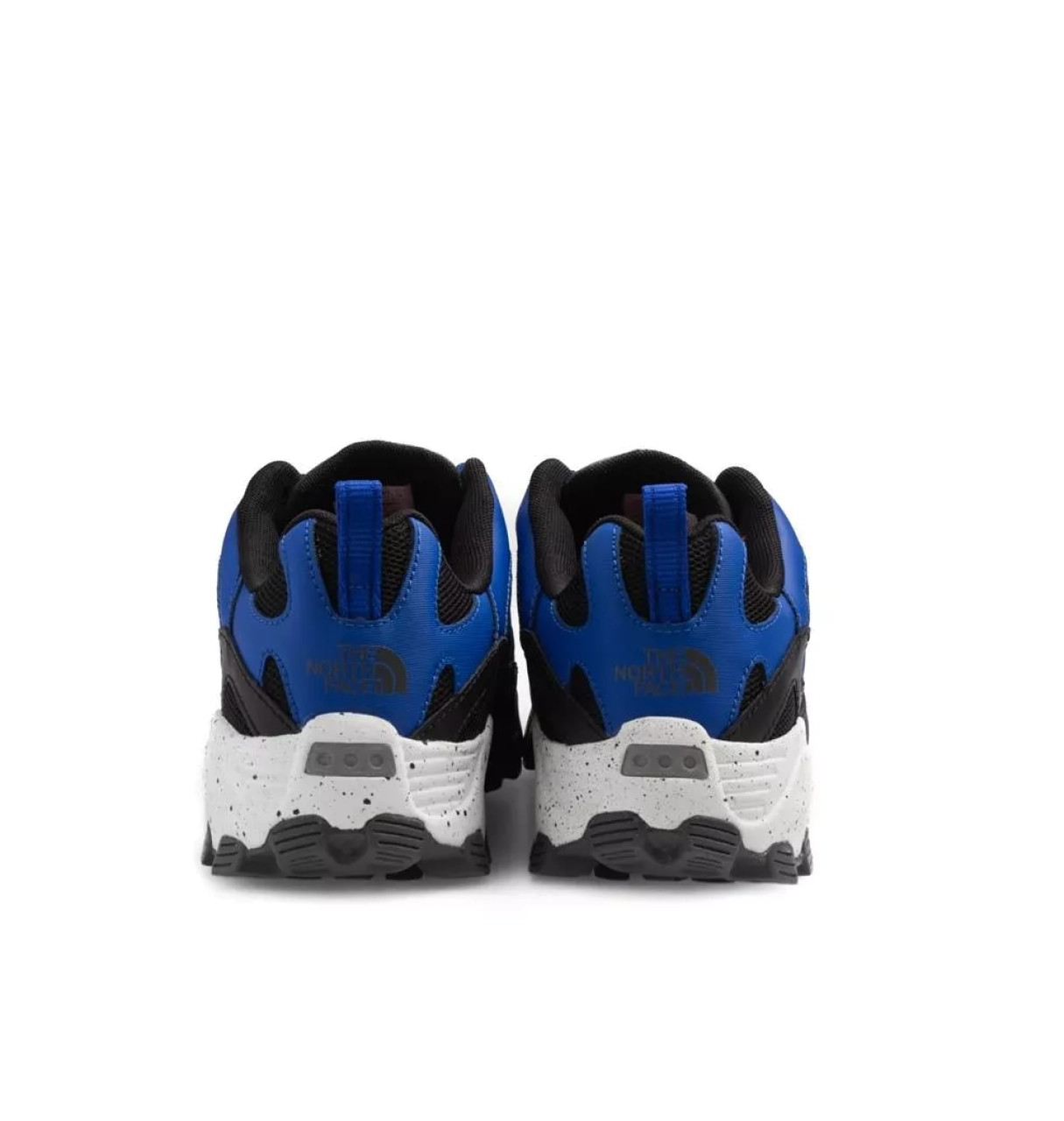 Кросівки чоловічі The North Face Archive Trail Fire Road NF0A4CET-EF1