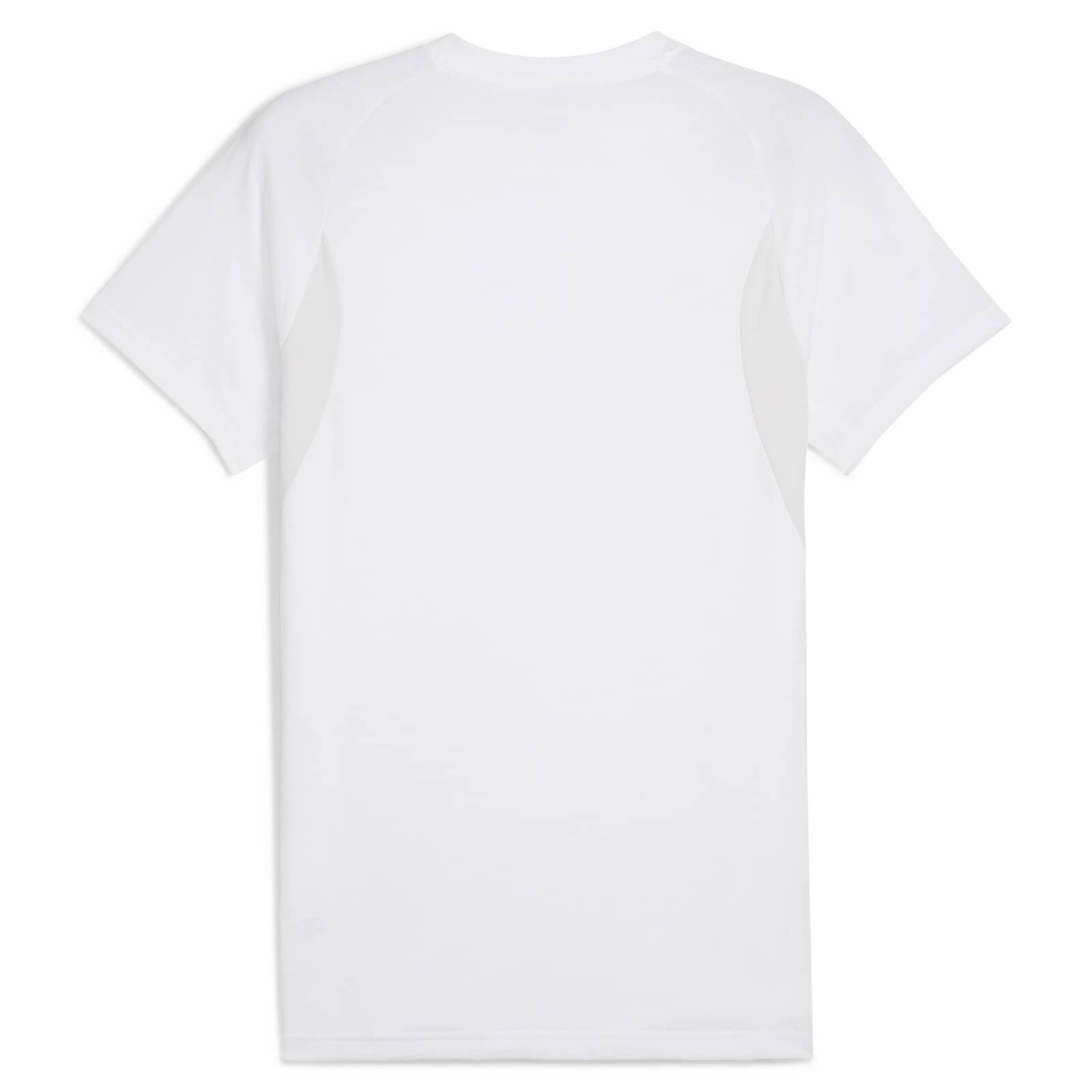 Футболка Puma teamEVOSTRIPE Tee 659953-04