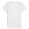 Футболка Puma teamEVOSTRIPE Tee 659953-04