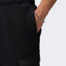 Штани Nike M J FLIGHT SHERPA PANT FV7450-010