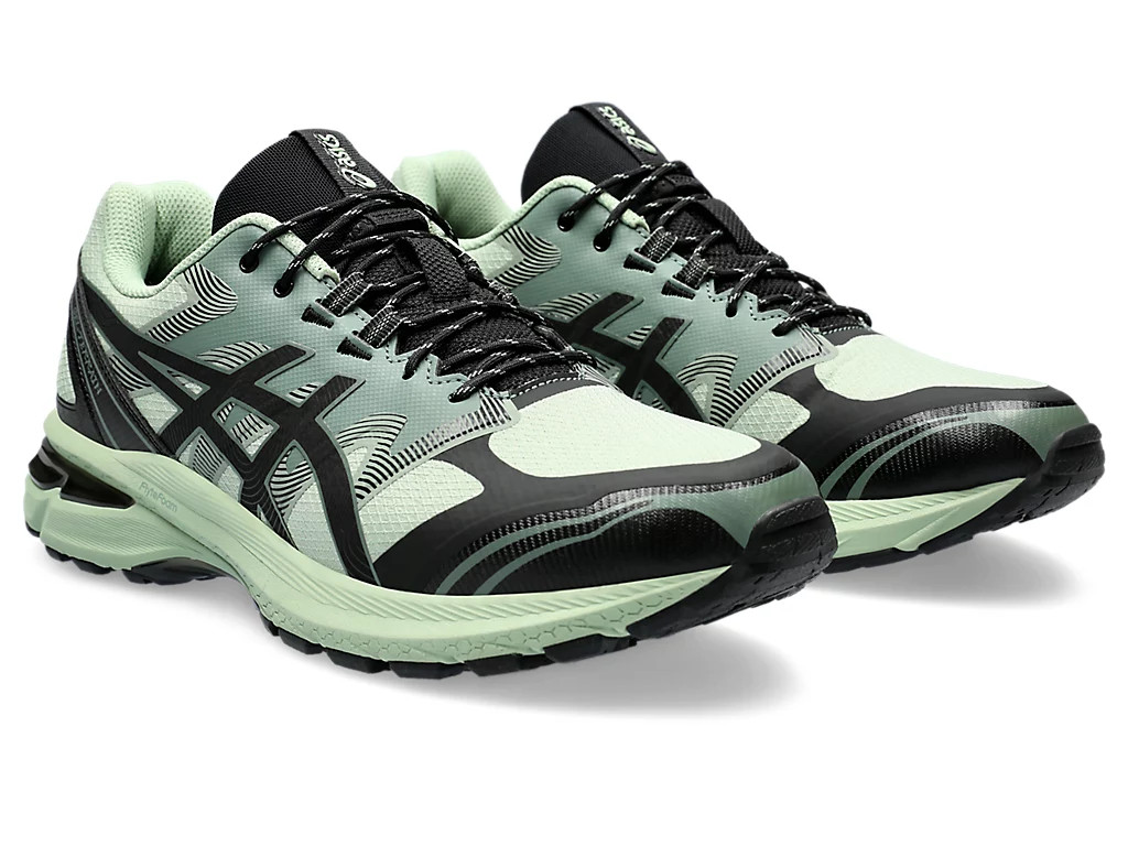 Кросівки Asics Gel-Terrain 1203A342-300