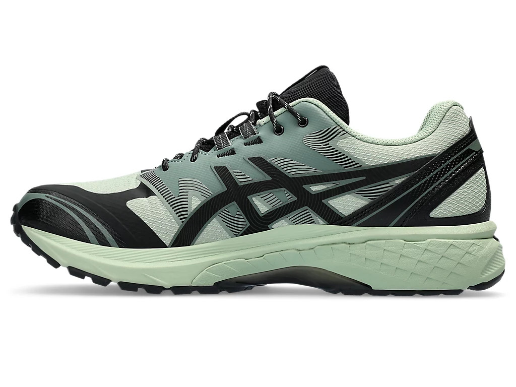 Кросівки Asics Gel-Terrain 1203A342-300