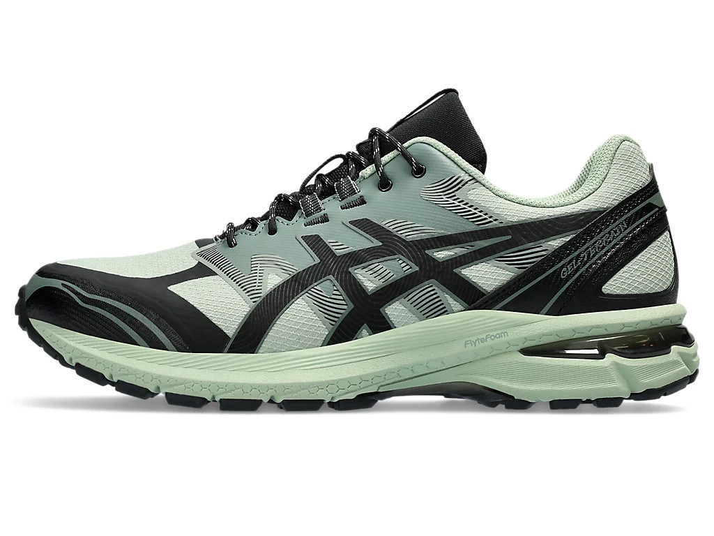 Кросівки Asics Gel-Terrain 1203A342-300