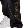 Штани Jordan Paris Saint-Germain Black DV0621-010