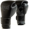 Рукавиці боксерські EVERLAST POWERLOCK 2 PRO TRAINING H&L GLOVE чорний Уні 12 унцій P00002426