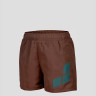 Шорти Arena BEACH SHORT LOGO R 006446-681