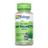 Капсули Solaray Saw Palmetto Berry 580mg - 100 vcaps 2023-10-2380