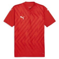 Футболка Puma teamGLORY Jersey 705740-01