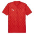 Футболка Puma teamGLORY Jersey 705740-01