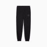 Штани спортивні підліткові ESS SCRIPT Sweatpants 68580701 Puma 128 Чорний 68580701