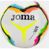 М'яч футбольний Joma HALLEY II різнокольоровий Уні 5 401726.217