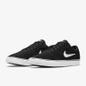 Кросівки Nike SB CHRON 2 DM3493-001