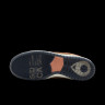 Кросівки Nike SB DUNK LOW PRO QS IH3211-200