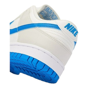 Кросівки Nike DUNK LOW RETRO DV0831-108