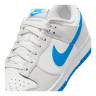 Кросівки Nike DUNK LOW RETRO DV0831-108