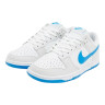 Кросівки Nike DUNK LOW RETRO DV0831-108