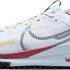 Кросівки Nike React Pegasus Trail 4 Gore-Tex DJ7929-102