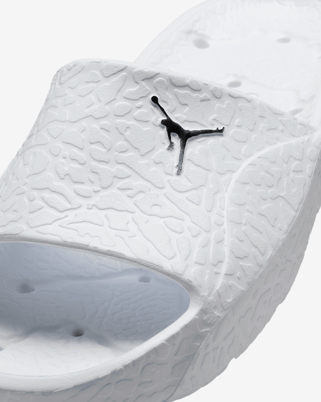 Тапочки Nike Air Jordan Franchise HQ2163-100