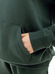 Кофта Nike NS PE CLB FLC SHINE OS PO FB8763-328