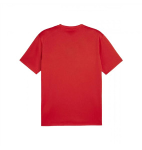 Футболка Puma teamGOAL Jersey 658636-01