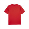 Футболка Puma teamGOAL Jersey 658636-01