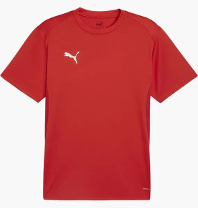 Футболка Puma teamGOAL Jersey 658636-01