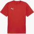 Футболка Puma teamGOAL  Jersey 658636-01